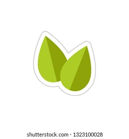 stevia leaves vector sticker icon