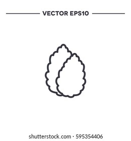 stevia. line icon. vector illustration