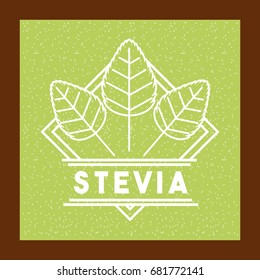 Stevia natural sweetener