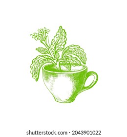 Símbolo de planta y taza de Stevia. Ilustración de esbozo del vector. dieta para diabéticos. Bebida dulce orgánica
