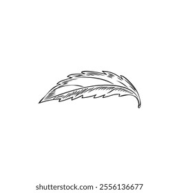 Stevia plant one leaf engraved sketch. Natural organic sweetener, healthy sugar substitute. Vector hand drawn floral single design element ink style. Medicinal herb foliage outline isolated on white