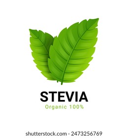 Stevia rebaudiana logo icon. Stevia leaf vector logo badge label plant natural extract. Herbal organic icon