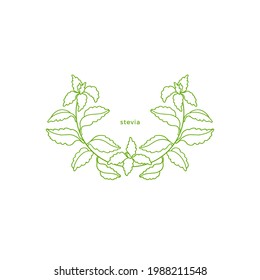 Stevia simple symbol. Vector green branch, fresh herb sugar leaf. Health diabetic diet. Organic drink. Botanical hand draw plant. Graphic art line illustration