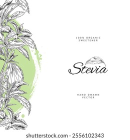 Stevia sketch. Border from the leaves on left side with green graphic decorative element. Hand drawn. Poster. Organic sugar substitute. Natural herbal plant. Botanical vector illustration.