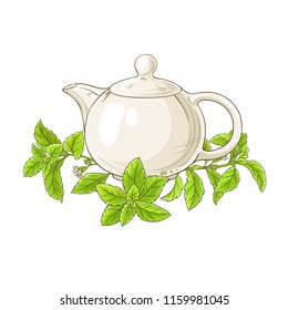 stevia tea illustration