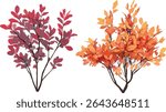 Stewartia sinensis, Cotinus Grace smoke bush summer autumn tree, isolated cutout, vector illustration, garden plants, deciduous trees, seasonal foliage, landscape design.