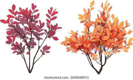 Stewartia sinensis, Cotinus Grace smoke bush summer autumn tree, isolated cutout, vector illustration, garden plants, deciduous trees, seasonal foliage, landscape design.
