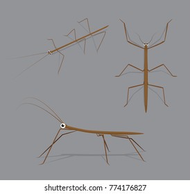 Stick Bug Poses Cartoon Vector Illustration