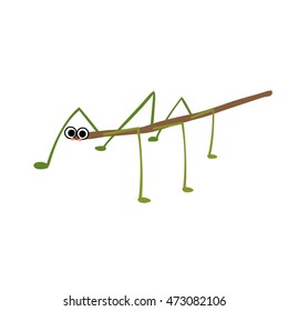 Stick Insect animal cartoon character isolated on white background.