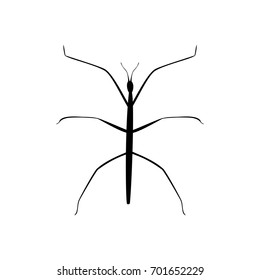 Stick Insect Black Silhouette Animal. Vector Illustrator.