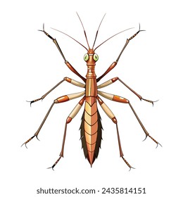 Ilustración aislada del insecto del palillo sobre fondo blanco