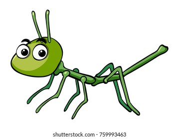 Stick insect on white background illustration