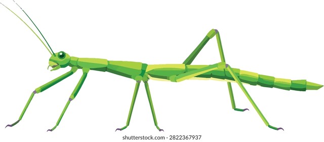 stick insect side profile, full body, insect, decorative vector illustration