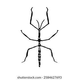 Stick insect vector design, png high quality image textured illustration