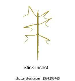Stick insect vector icon.Cartoon vector icon isolated on white background stick insect.