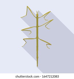 Stick insect vector icon.Flat vector icon isolated on white background stick insect.