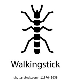 A stick like insect having longs legs depicting walkingstick