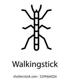 A stick like insect having longs legs depicting walkingstick