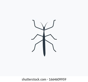 Stickbug icon isolated on clean background. Stickbug icon concept drawing icon in modern style. Vector illustration for your web mobile logo app UI design.