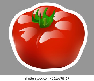 Sticke illustration of a realistic style set of red fresh tomatoes with green stems isolated on white , side view. Print, template, design element for packaging or banner and promotion poster - Vector