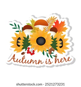 Sticker with autumn maple and sunflower, acorns, rowan, mushrooms on white background.