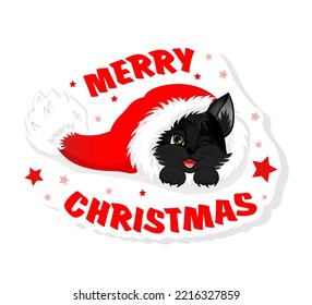 Sticker with black cat. Cute little kitty sitting in Christmas hat. Colorful design for social media, media communication, networking, website badges, greeting cards.