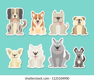 Sticker collection of different kinds of dogs. Sat dogs in front view position. Bulldog, schnauzer, chihuahua, terrier, sheepdog, corgi. Vector illustration.