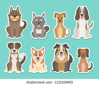 Sticker collection of different kinds of dogs. Sat dogs in front view position. Corgi, sheepdog, settle, terrier. Vector illustration.