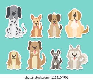 Sticker collection of different kinds of dogs. Sat dogs in front view position. Dalmatian, schnauzer, coker, german. Vector illustration.