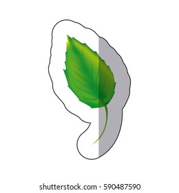 sticker color leaf icon, vector illustraction design image