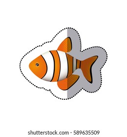 sticker colorful picture clownfish acuatic animal vector illustration