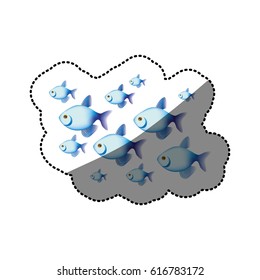 sticker colorful set collection fish aquatic animal vector illustration