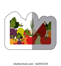 sticker of colorful several of fruits and vegetable