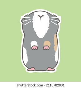 Sticker. Cute guinea pig with a gray color.