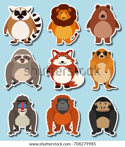 Similar – Image, Stock Photo orangutan Safari Animal
