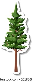Árbol pegajoso evergreen en ilustración de fondo blanco