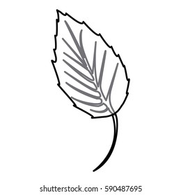 sticker figure leaf icon, vector illustraction design image