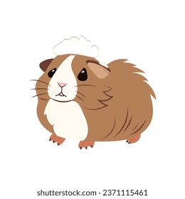 Sticker flat simple cute guinea pig with snowdrift on head on white background