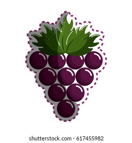 sticker grape cluster icon image