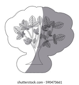 sticker gray color leafy tree with trunk nature icon vector illustration