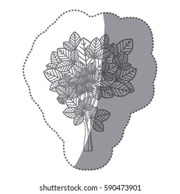 sticker gray color leafy tree with ramifications nature icon vector illustration