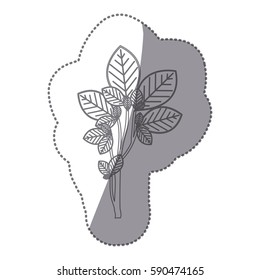 sticker gray color ramifications with oval leaves nature icon vector illustration