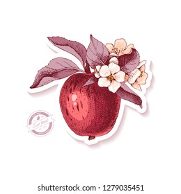 Sticker with hand drawn apple branch. Vector illustration