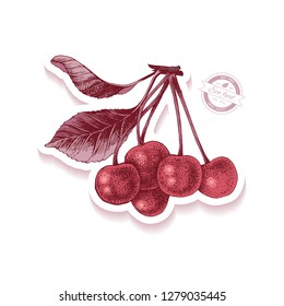 Sticker with hand drawn cherry branch. Vector illustration