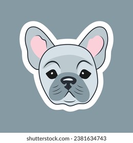 Sticker Head of a cute blue-gray French bulldog puppy on a dark background