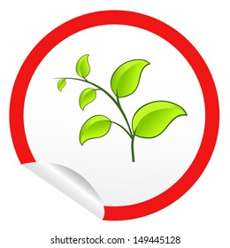 sticker icon web button with green leaves. EPS10 illustration 