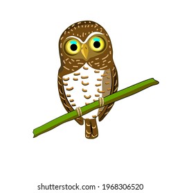 sticker ideas of Collared owlet