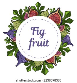 Sticker with the image of bright exotic purple figs and leaves. Whole fruits and cut into pieces. Isolated illustration on a white background for a fabric element, design, poster, print, art, textile