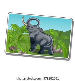 Sticker with image of an elephant with raised trunk isolated on a white background. Vector cartoon close-up illustration.
