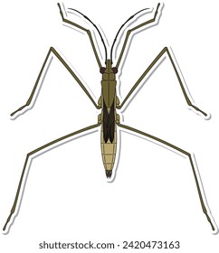 Sticker insect single item icon water strider